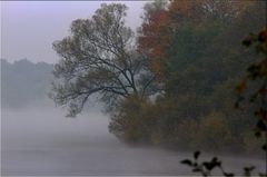 Herbstnebel