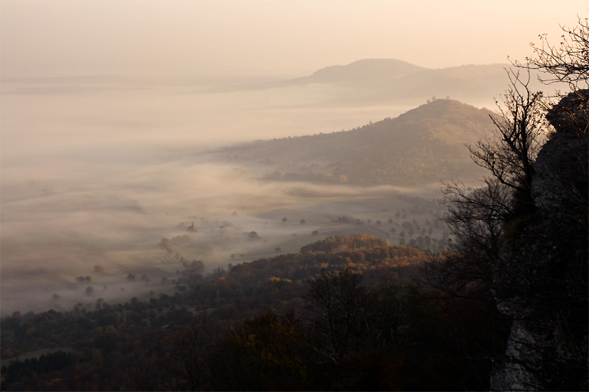 Herbstnebel...