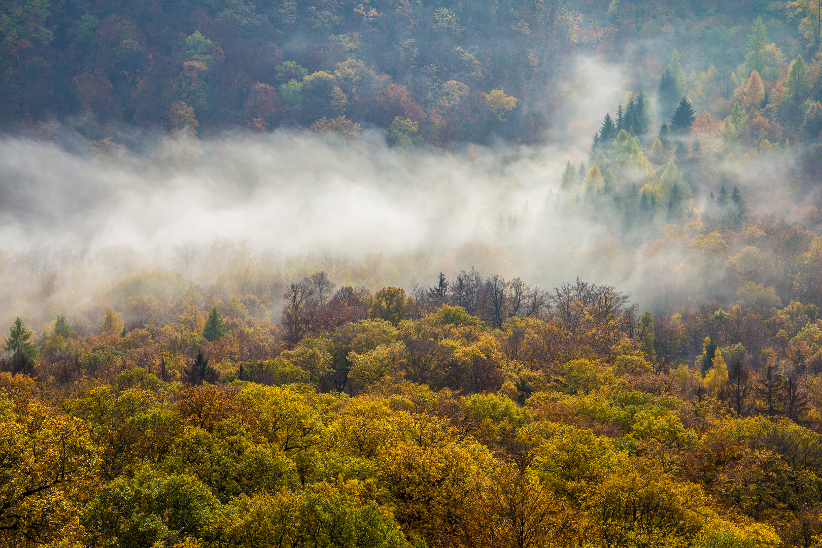 Herbstnebel