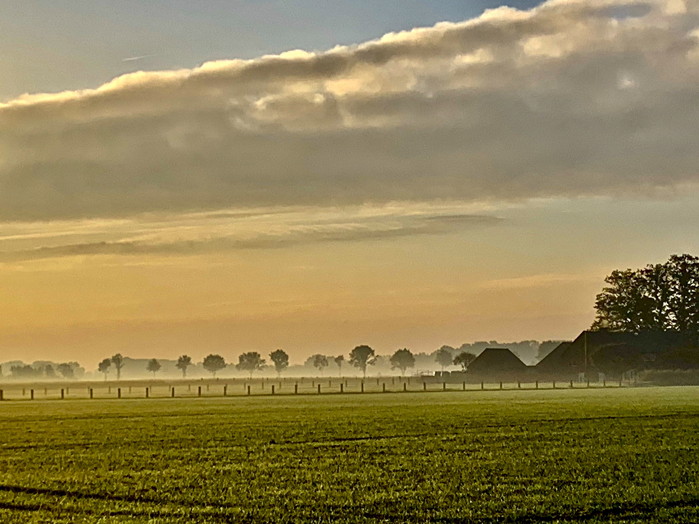 Herbstnebel