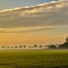 Herbstnebel