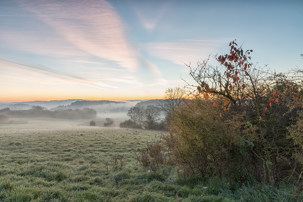 Herbstnebel