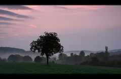 Herbstnebel II