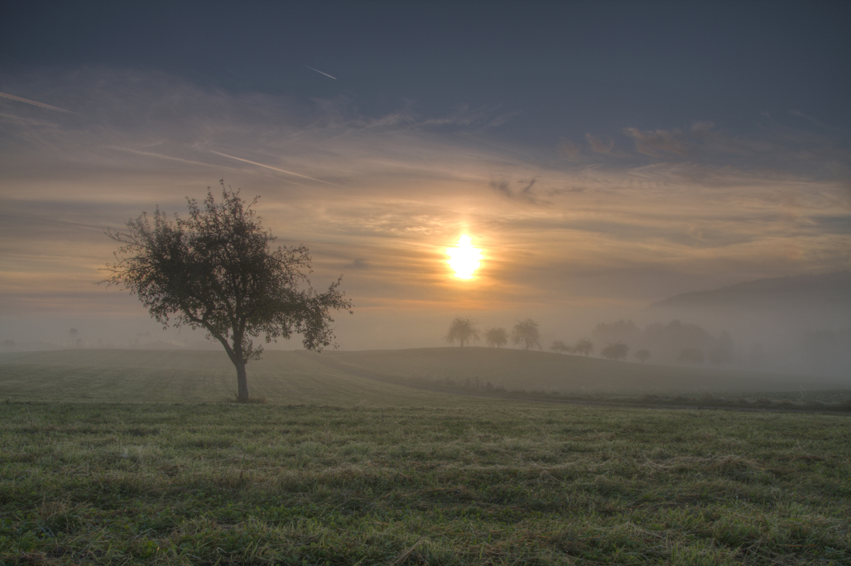 Herbstnebel II