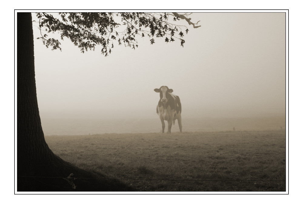 HERBSTNEBEL II