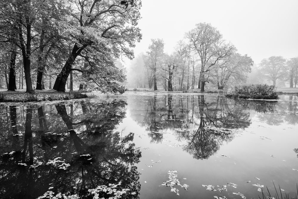 Herbstnebel II