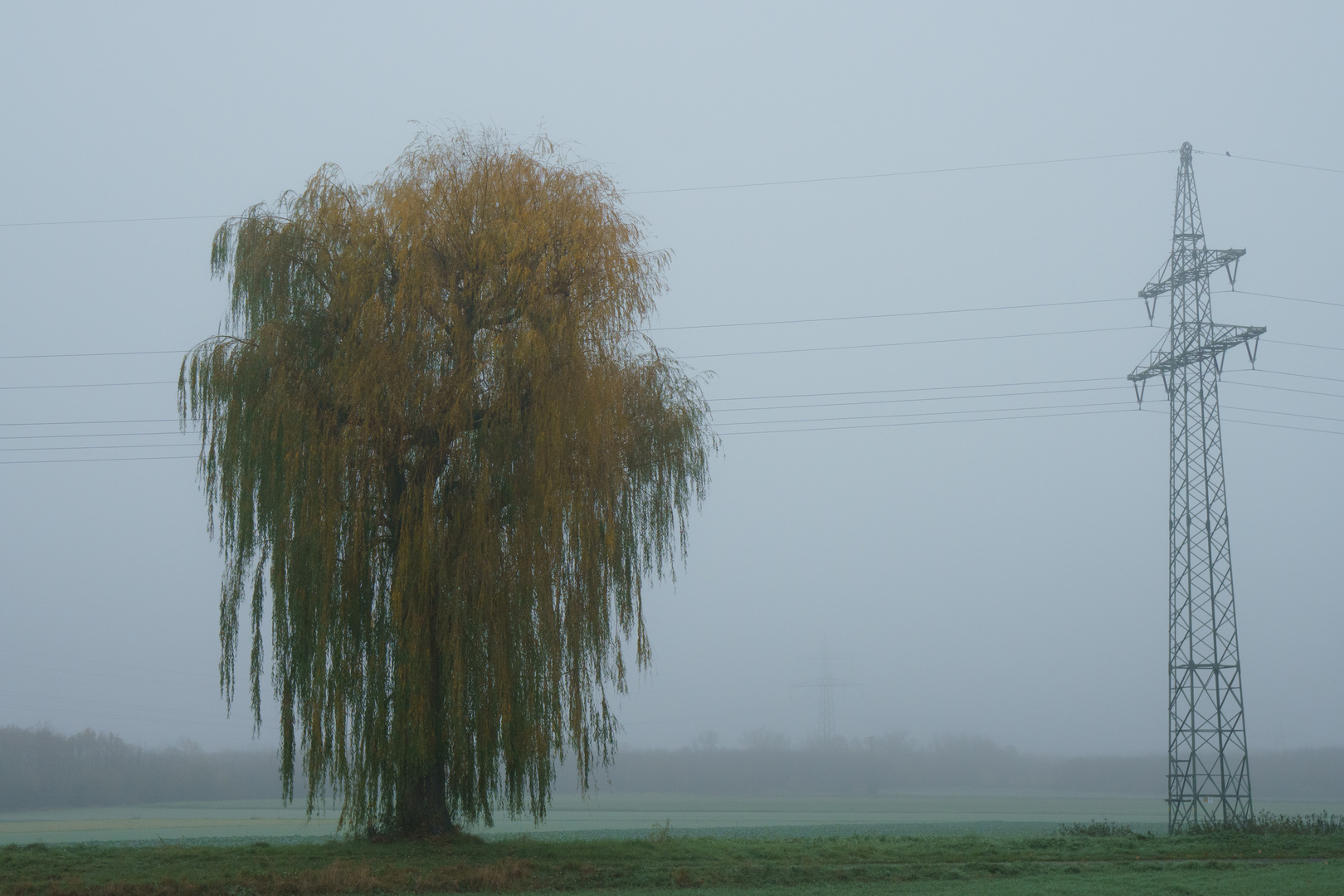 Herbstnebel II