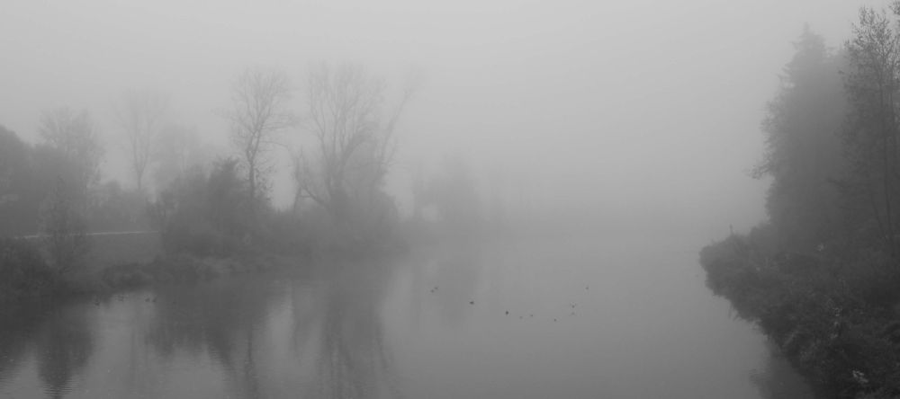 Herbstnebel II