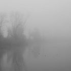 Herbstnebel II