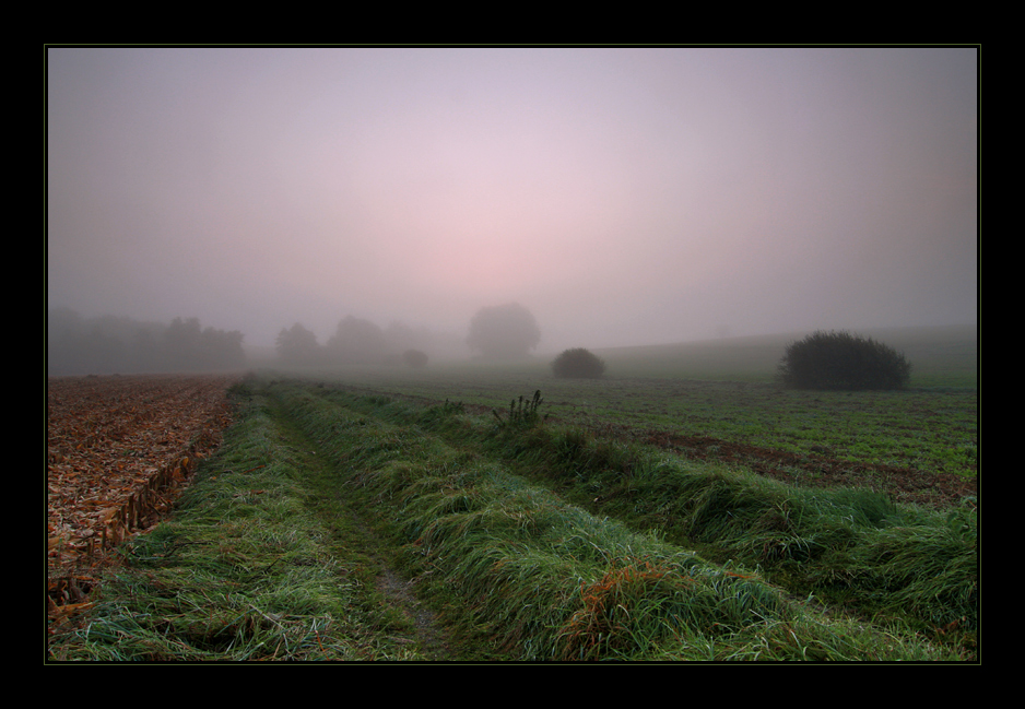 Herbstnebel III