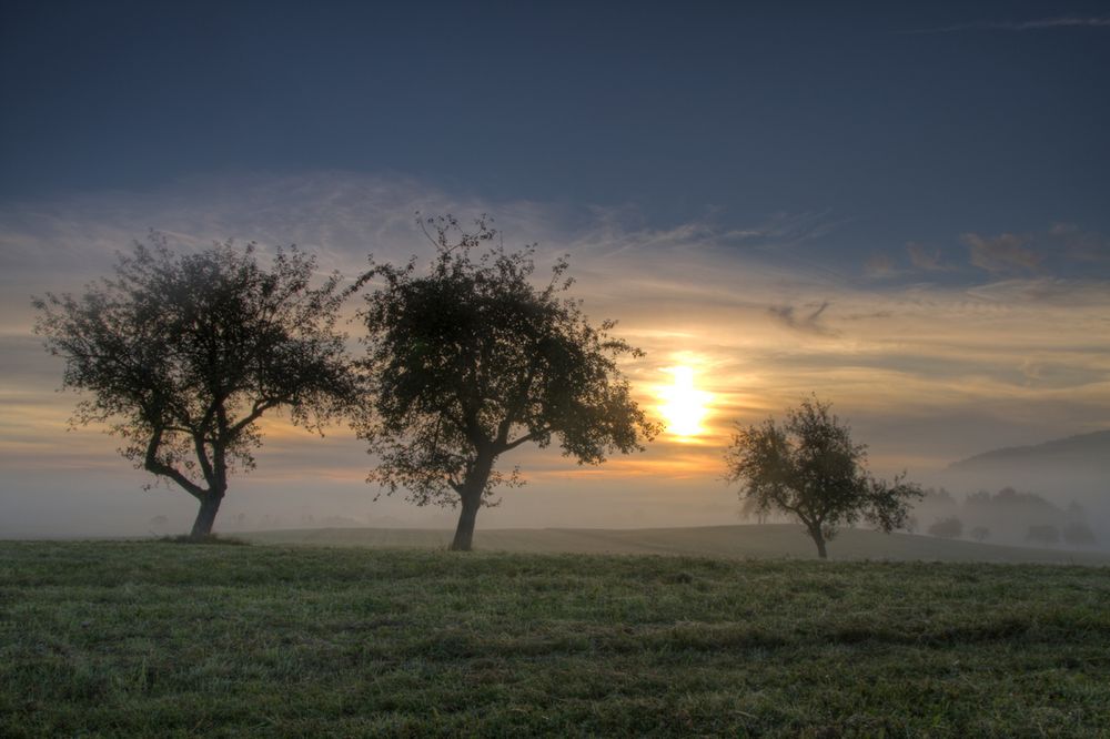 Herbstnebel III