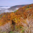 Herbstnebel im Ahrtal