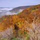 Herbstnebel im Ahrtal