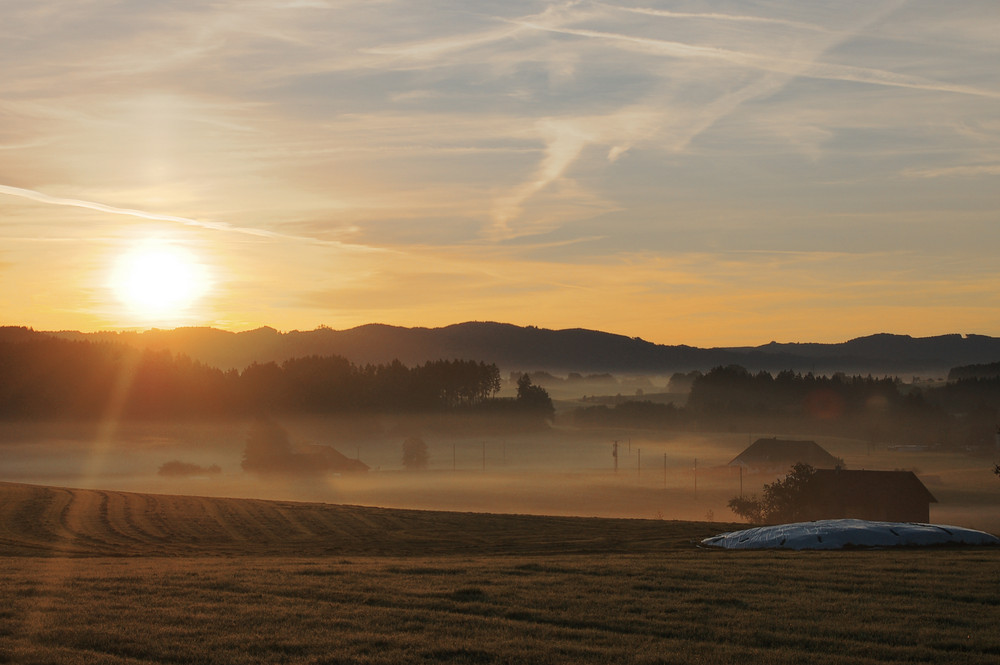 Herbstnebel im Allgäu