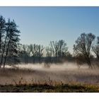 Herbstnebel im Bruch