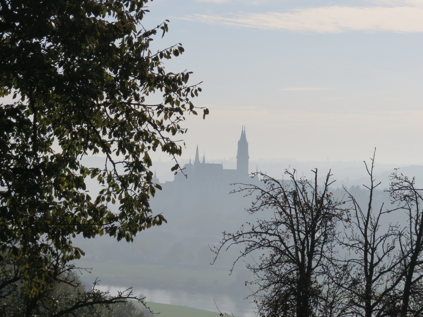 Herbstnebel im Elbtunnel