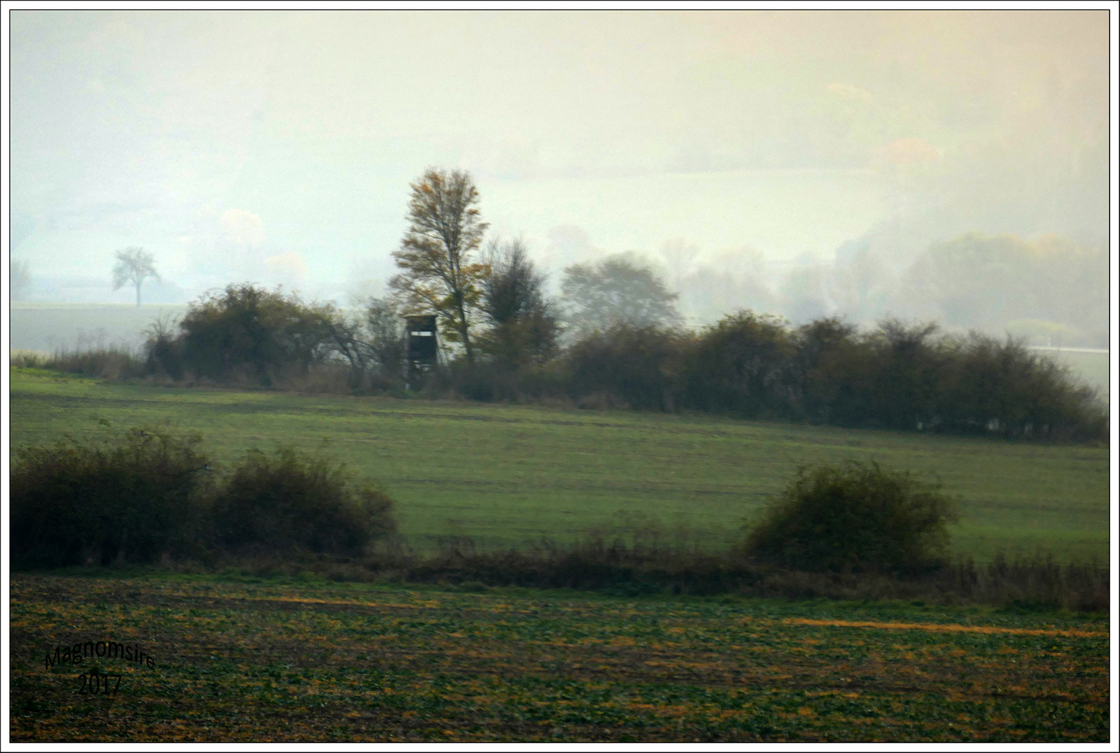 Herbstnebel im Harz