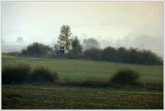 Herbstnebel im Harz