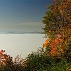 Herbstnebel im Moseltal