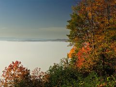 Herbstnebel im Moseltal