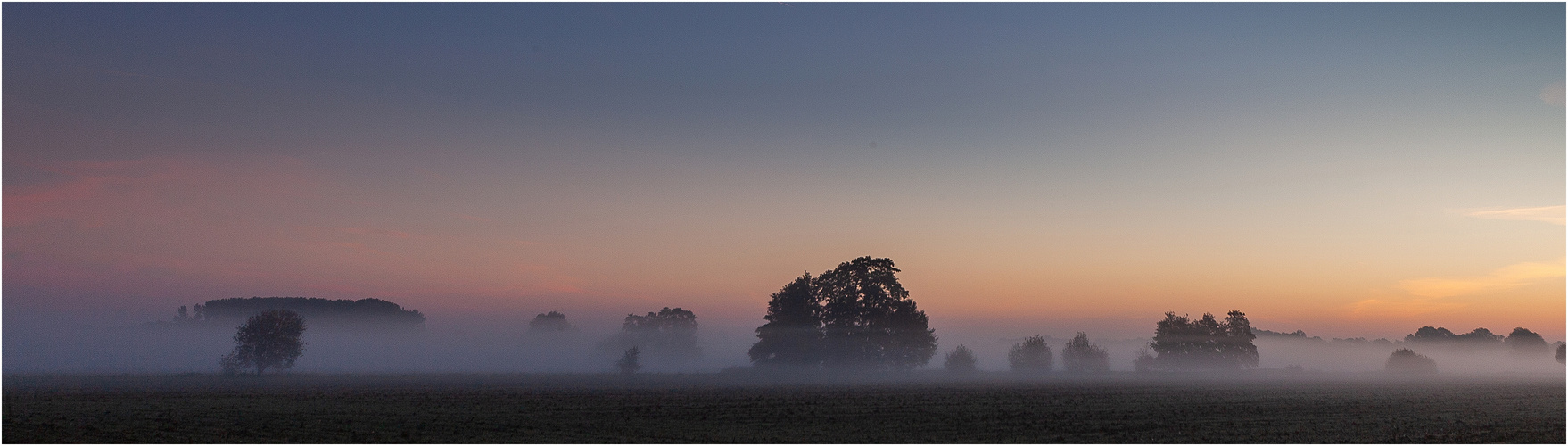 Herbstnebel im Naturschutzgebiet Versmolder Bruch