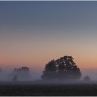 Herbstnebel im Naturschutzgebiet Versmolder Bruch