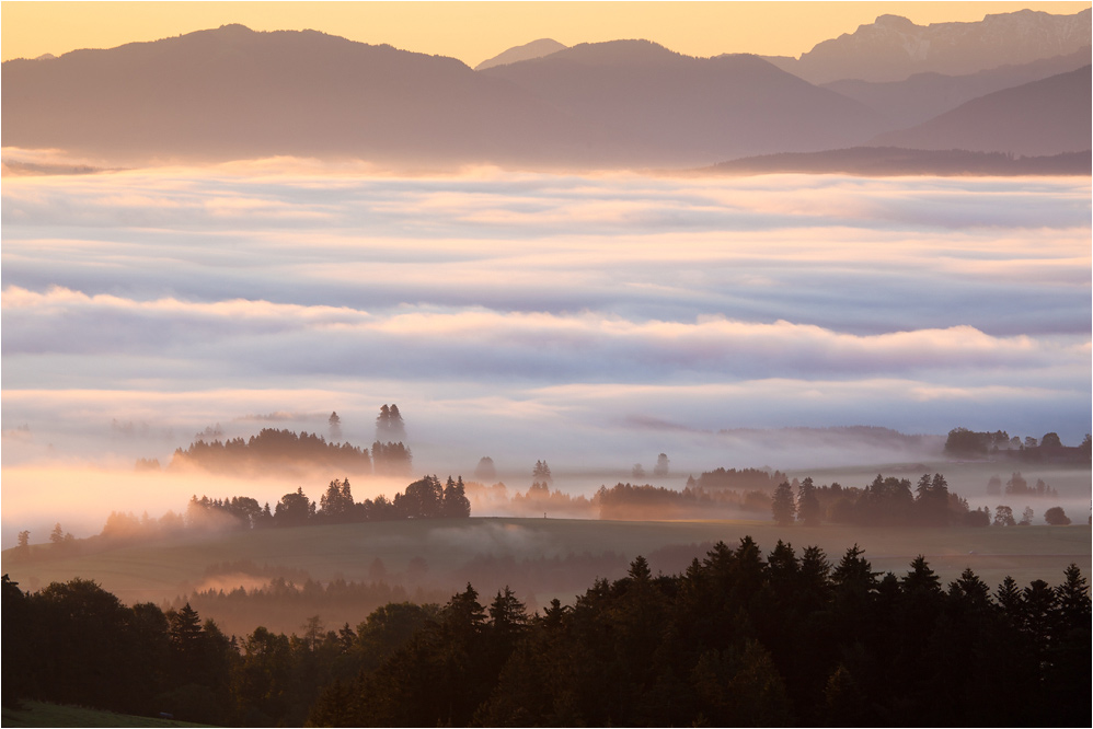 herbstnebel im ostallgäu