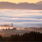 herbstnebel im ostallgäu