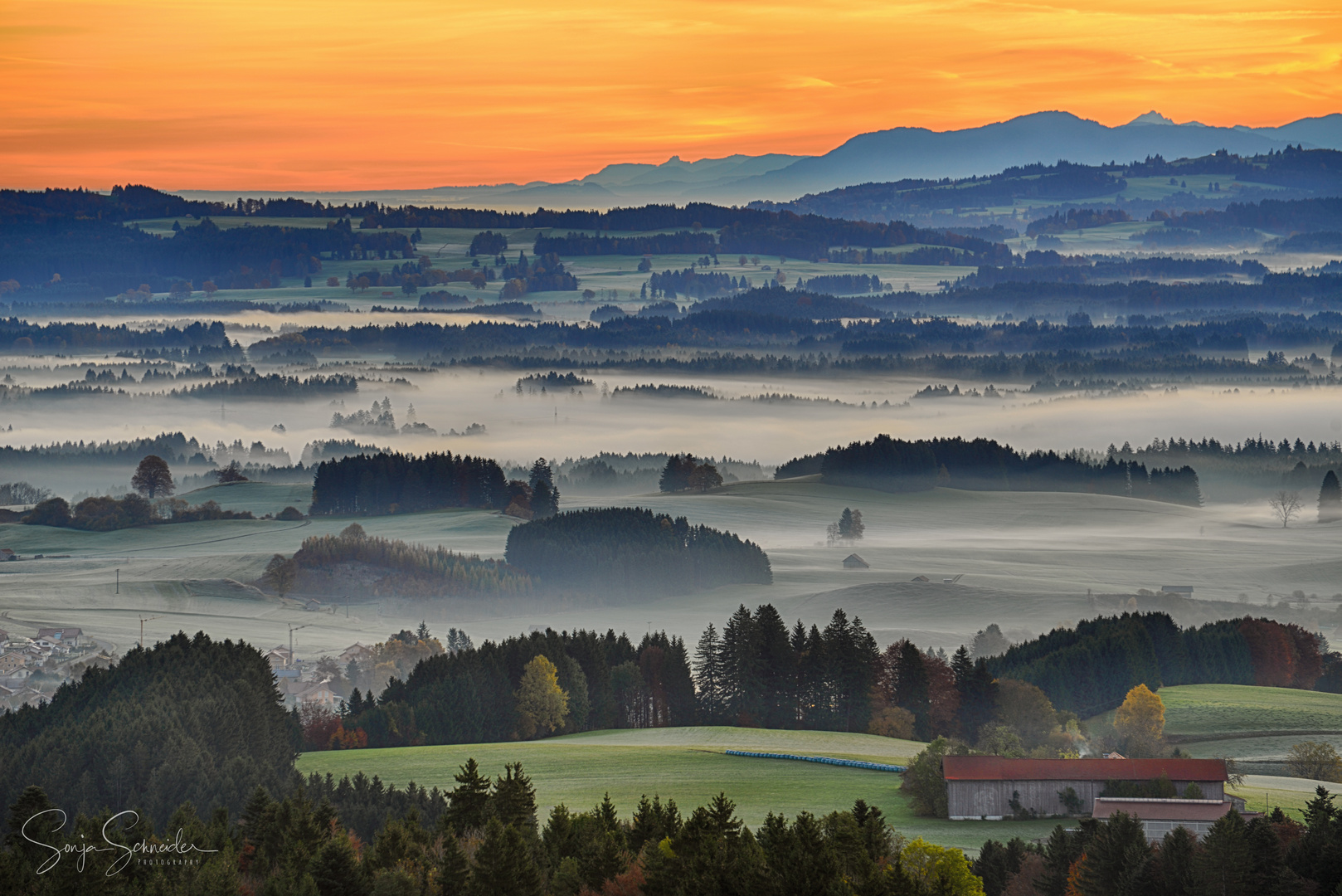 Herbstnebel im Ostallgäu