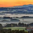 Herbstnebel im Ostallgäu