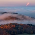 Herbstnebel im Siebengebirge