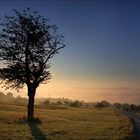 Herbstnebel im Tal