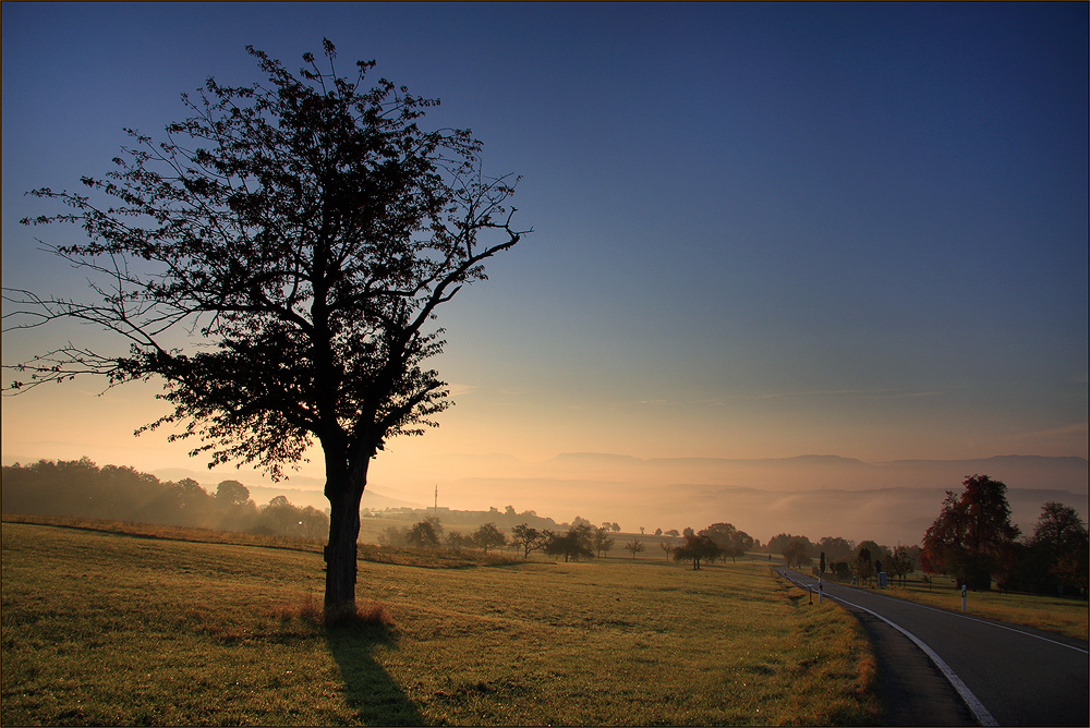 Herbstnebel im Tal