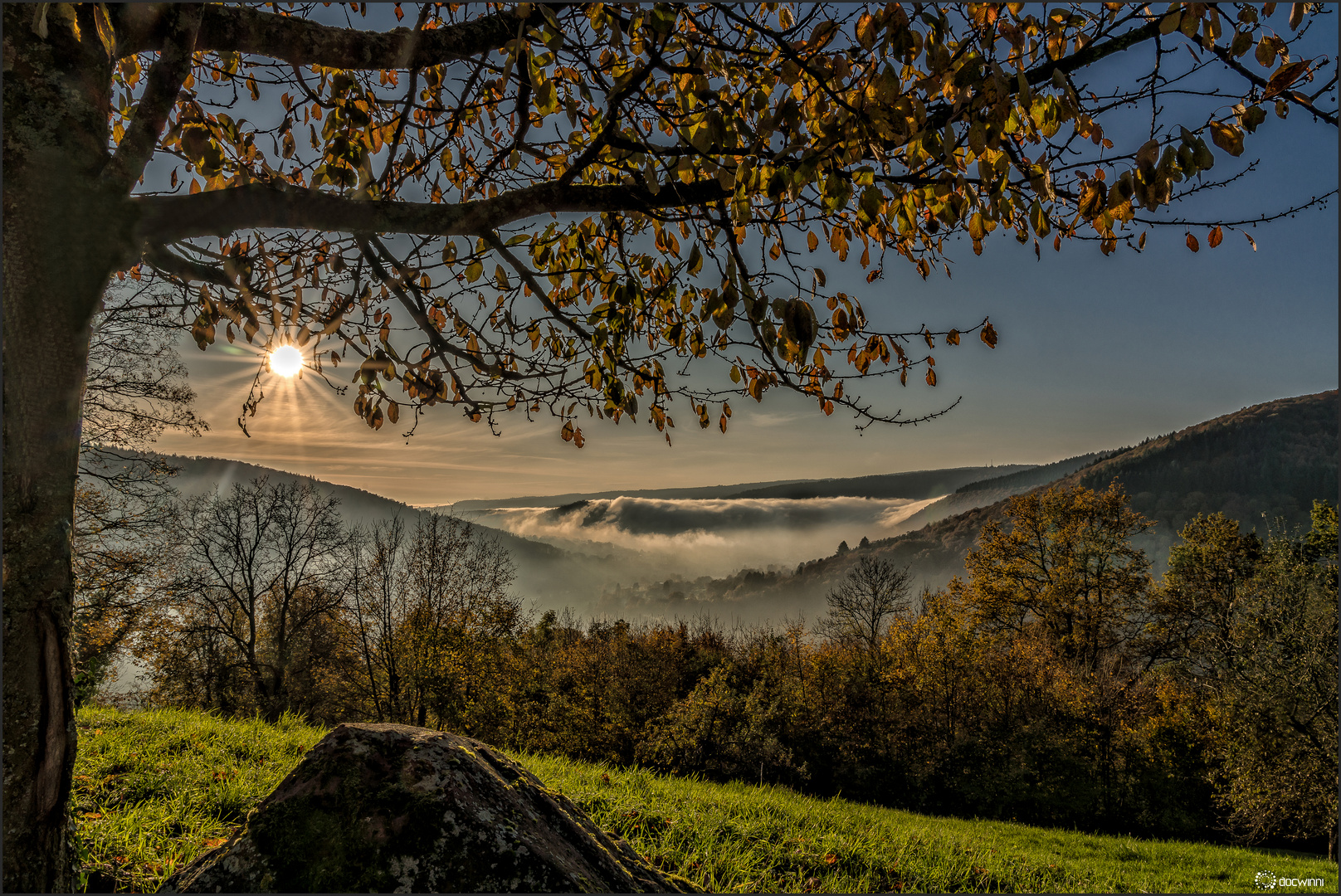 Herbstnebel im Tal