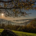 Herbstnebel im Tal