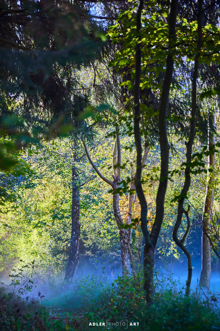 Herbstnebel im Taunus