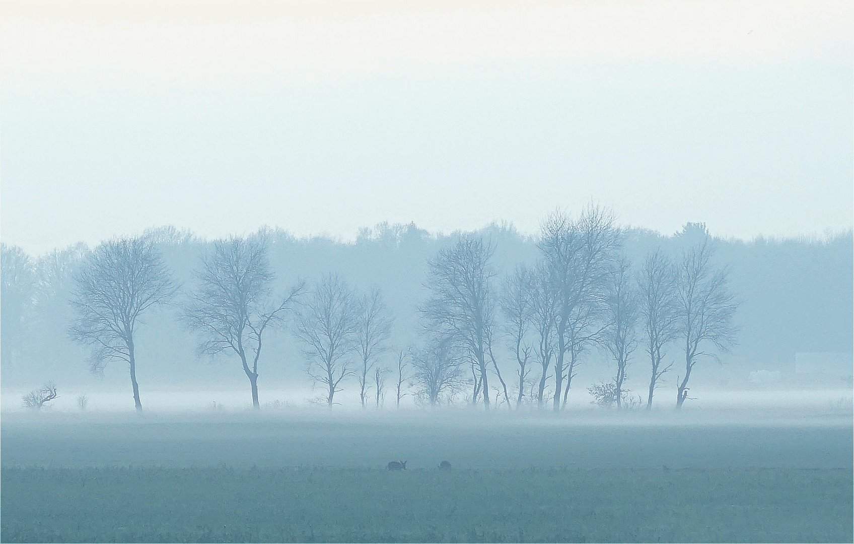 Herbstnebel im Winter