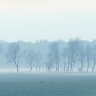 Herbstnebel im Winter