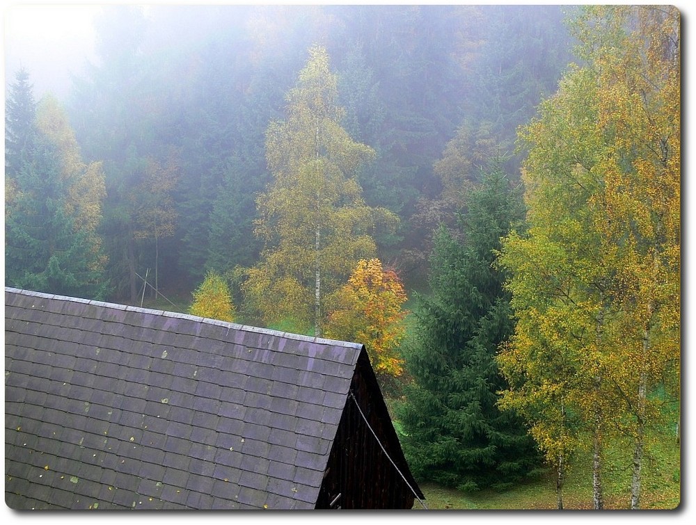 Herbstnebel im Zittauer Gebirge