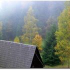 Herbstnebel im Zittauer Gebirge