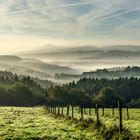 Herbstnebel in der Eifel