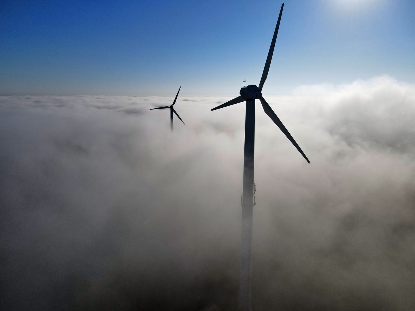 Herbstnebel in der Eifel