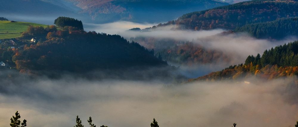 Herbstnebel in der Eifel