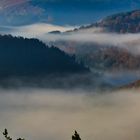 Herbstnebel in der Eifel