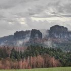 Herbstnebel in der Saechsischen Schweiz