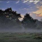 Herbstnebel in Eynatten I.