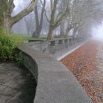 Herbstnebel in Radolfzell