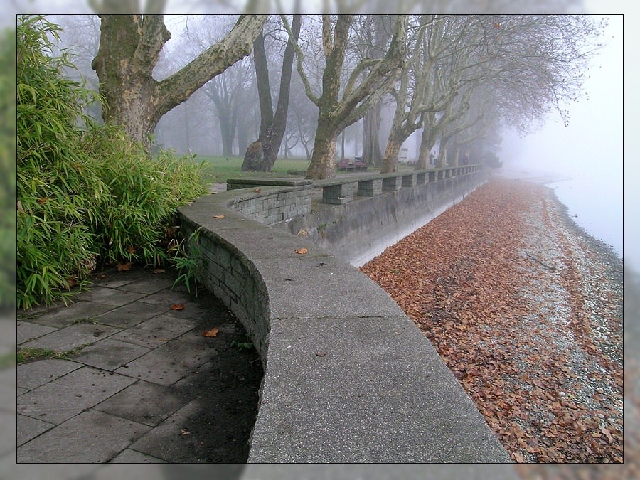 Herbstnebel in Radolfzell