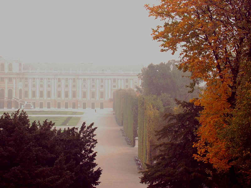 Herbstnebel in Schönbrunn