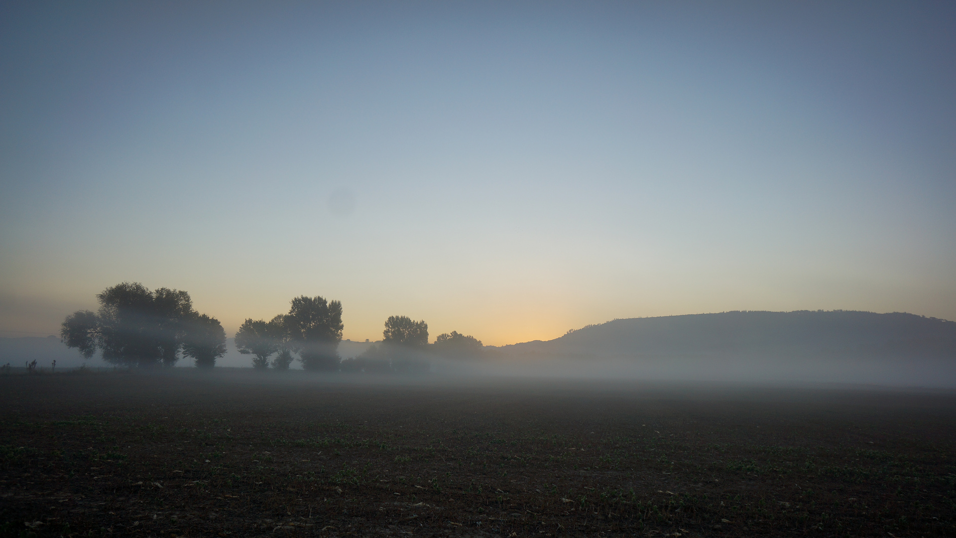 Herbstnebel in Südbaden